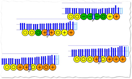 Grafik Rehwild 1