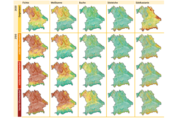 fittosize 600 0 408bc15247649613fccd2a3b215f3b5b a153 mette abb8