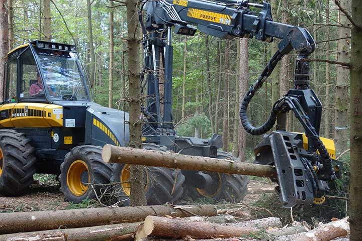 Holzeinschlag und Holzrückung