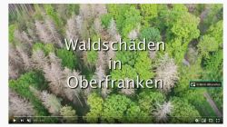Waldschaeden Oberfranken final